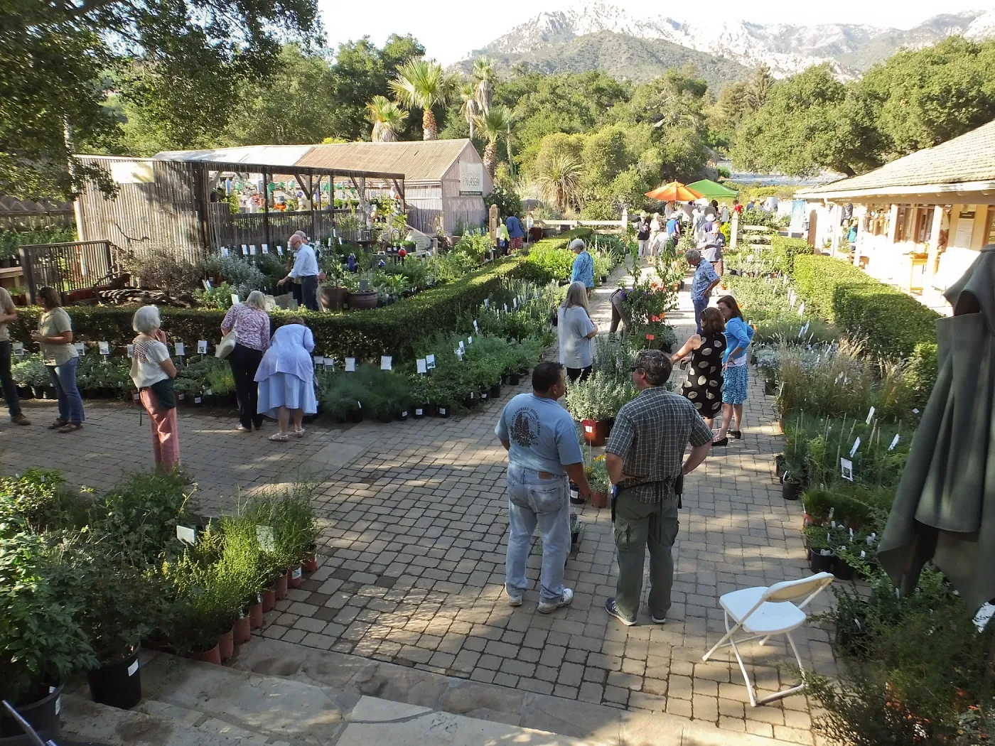 Fall Plant Sale 2014 Member Preview Party