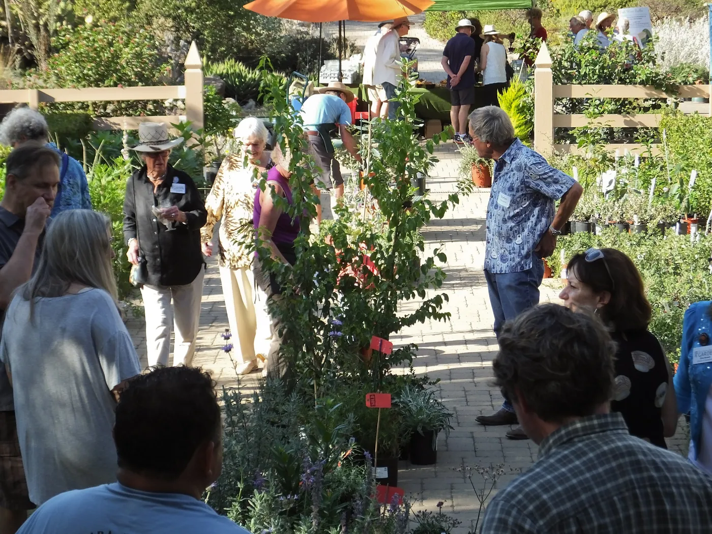 Fall Plant Sale 2014 Member Preview Party