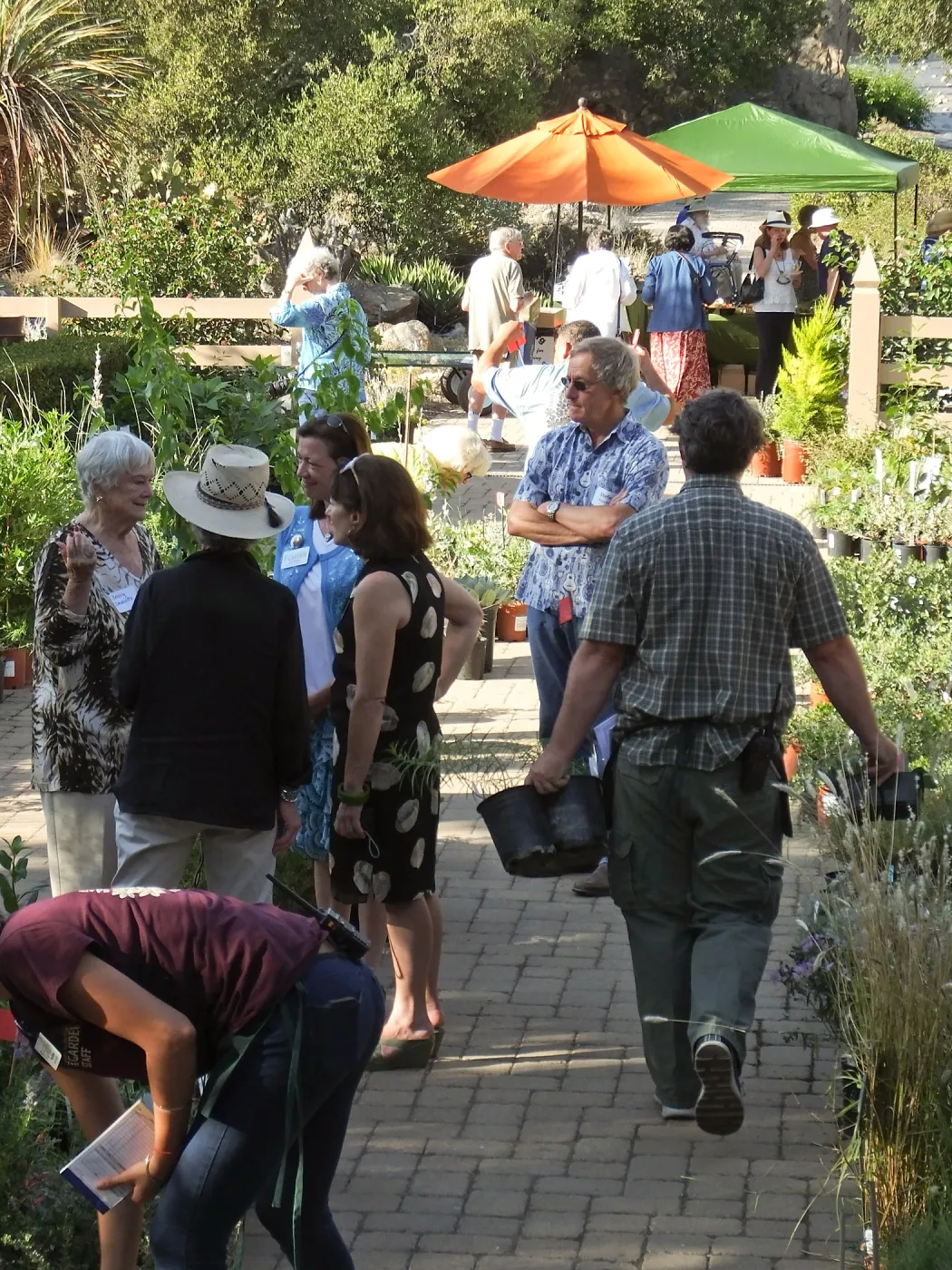 Fall Plant Sale 2014 Member Preview Party