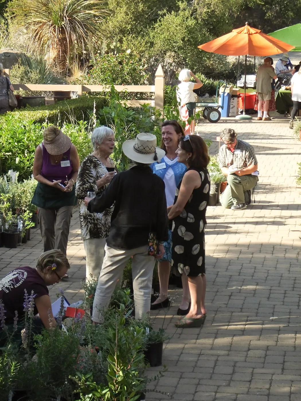 Fall Plant Sale 2014 Member Preview Party