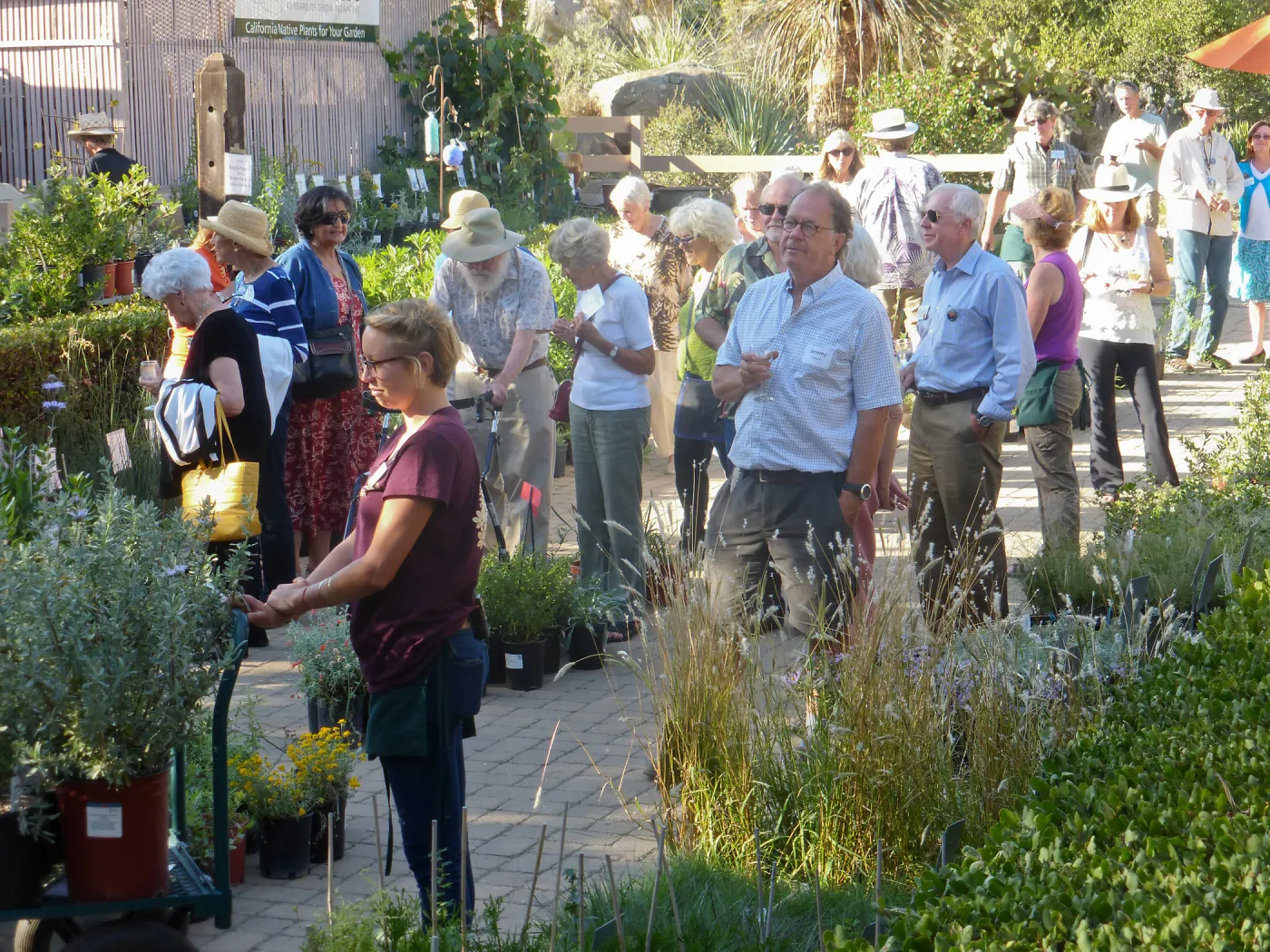 Fall Plant Sale 2014 Member Preview Party