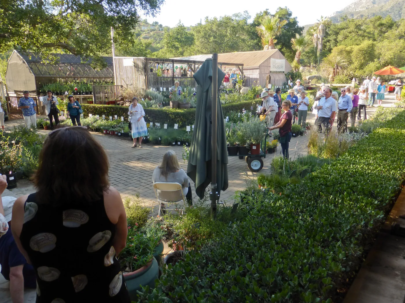 Fall Plant Sale 2014 Member Preview Party