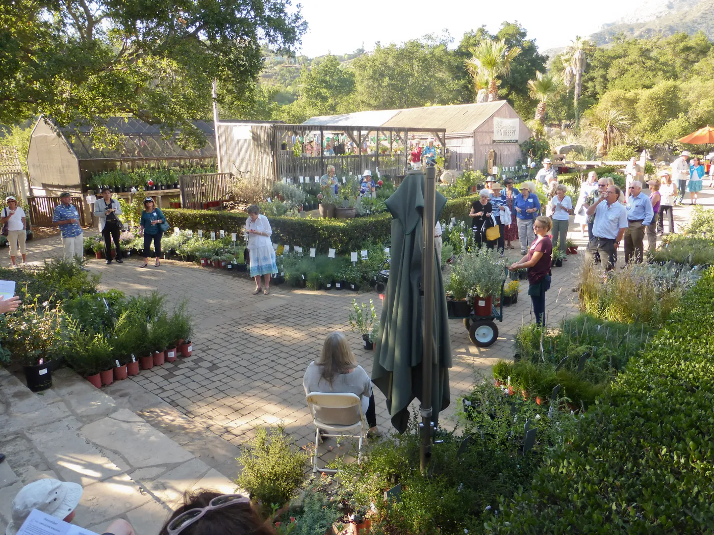 Fall Plant Sale 2014 Member Preview Party