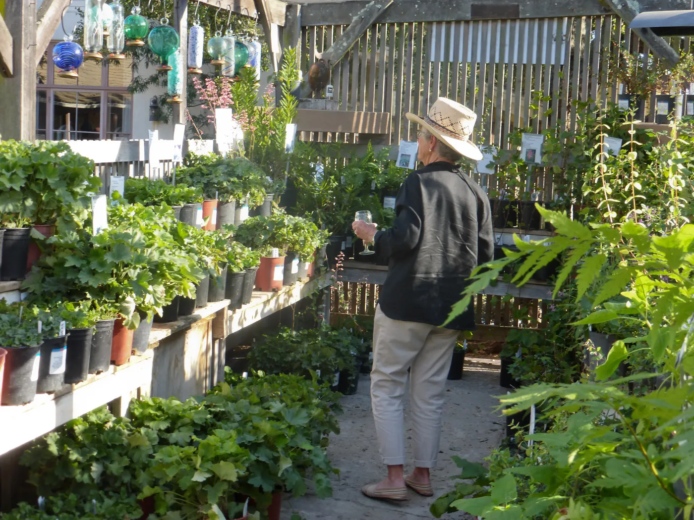 Fall Plant Sale 2014 Member Preview Party