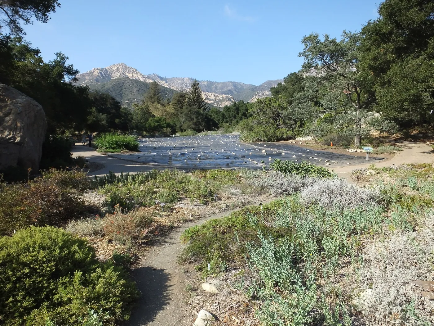 Meadow Revival Poject, Black plastic mulch