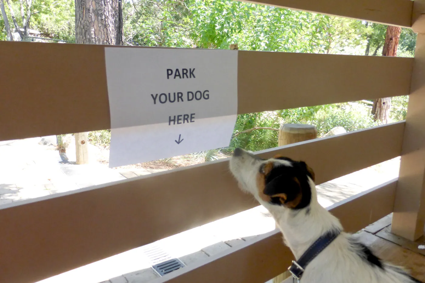 Park Your Dog Here
