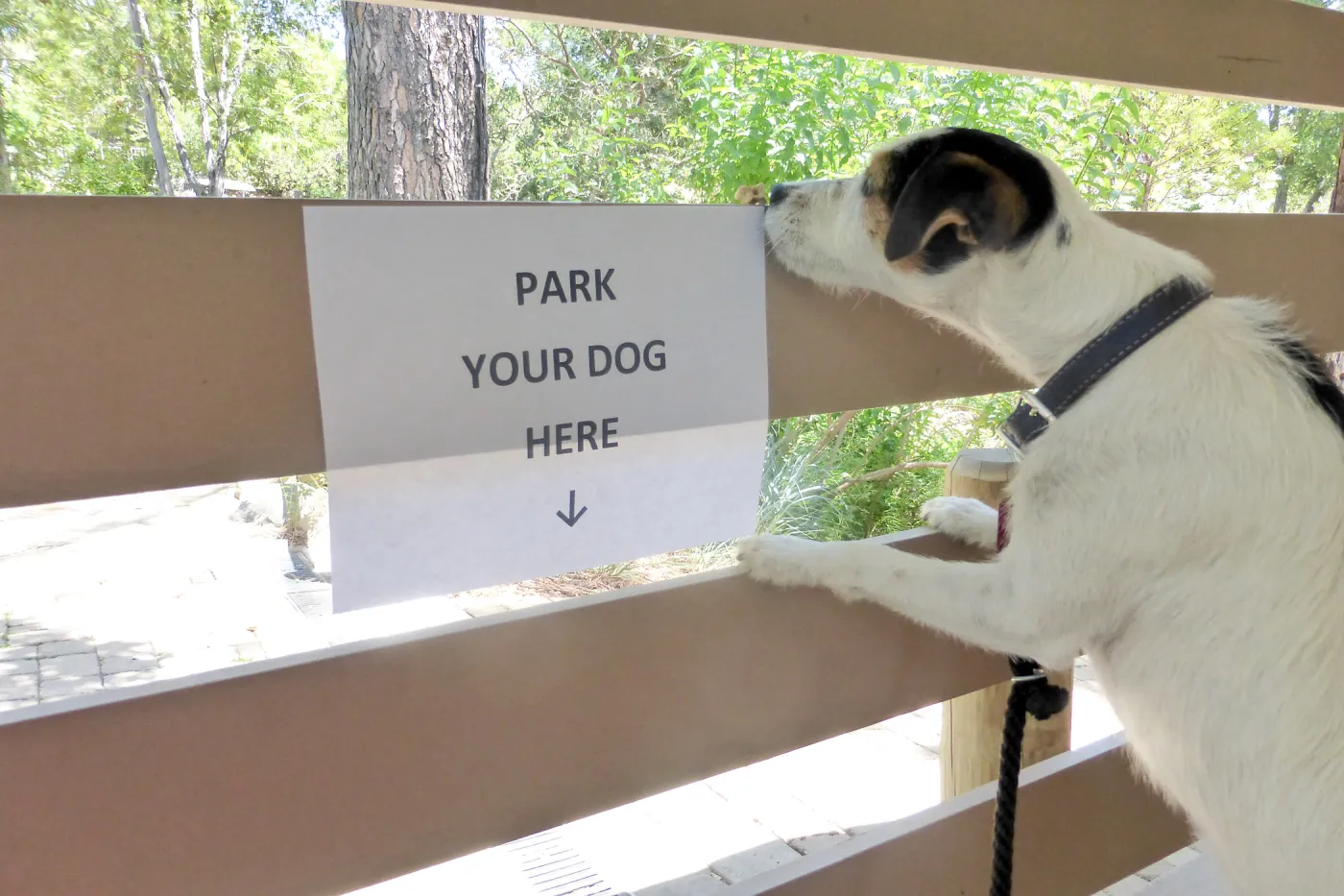 Park Your Dog Here