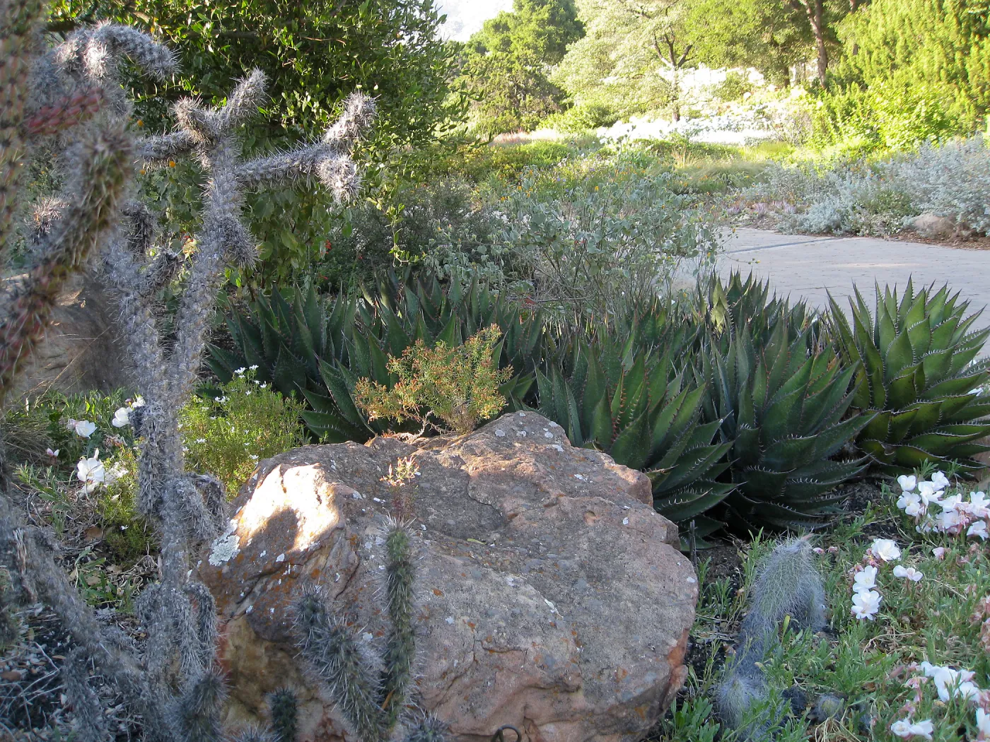 Front of Desert Section
