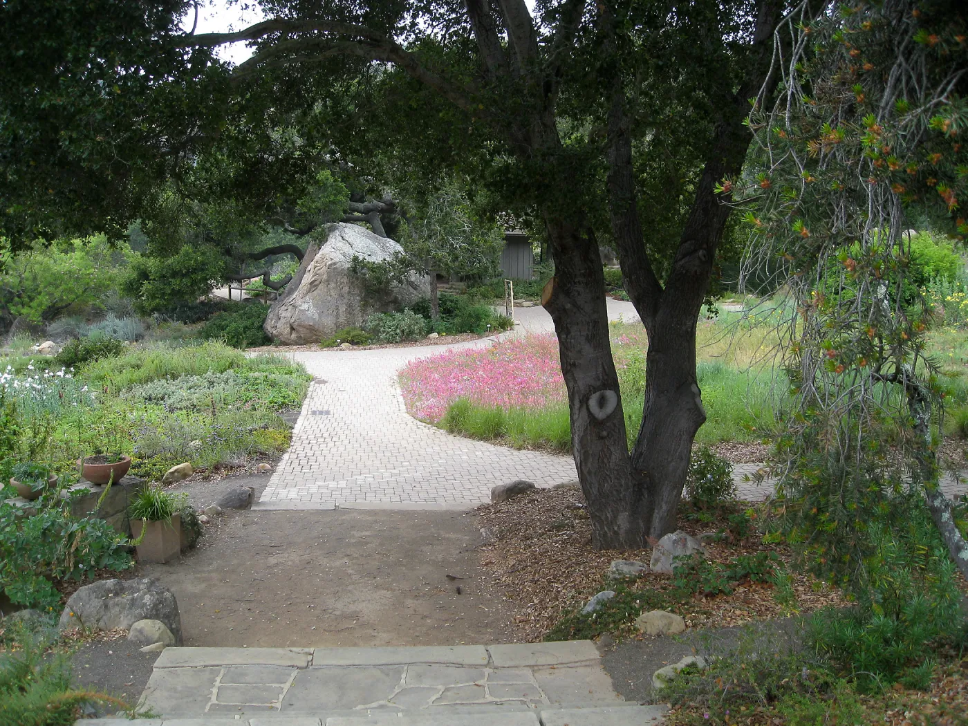 View from historic entry steps to the Blaksley Boulder