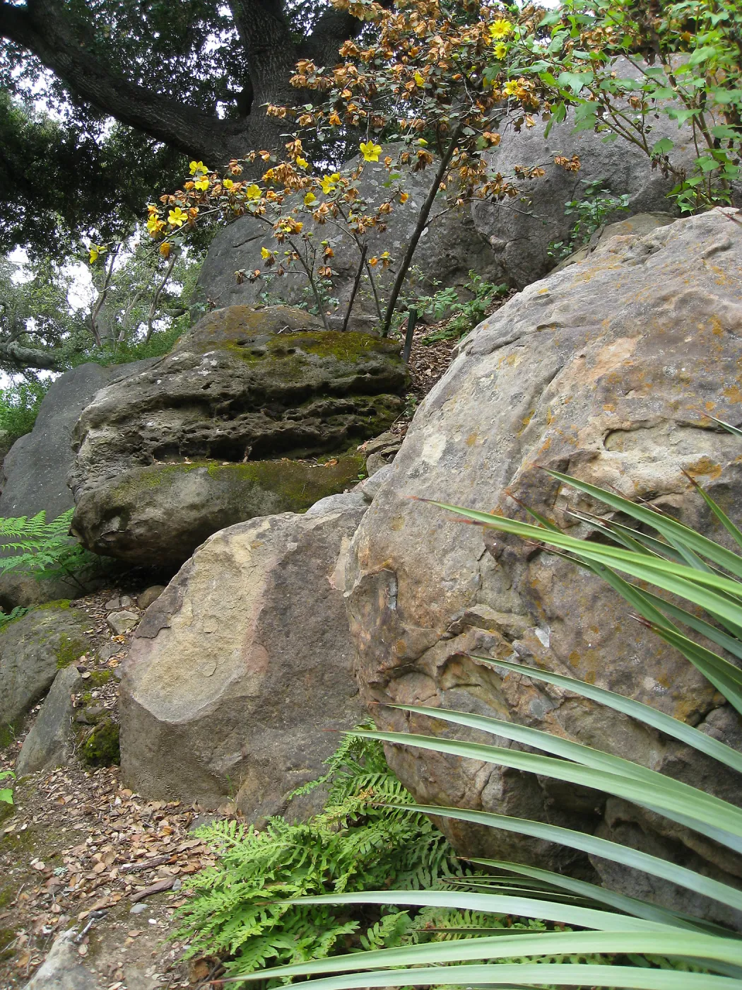 Rocks in the Arroyo