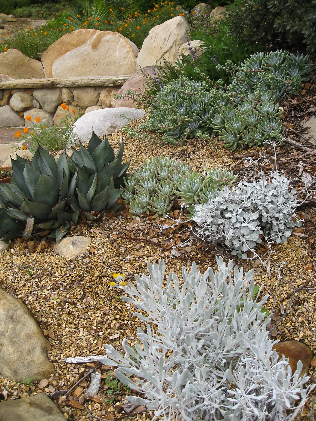 Beaver Bench at Dudley (liveforevers) a Display