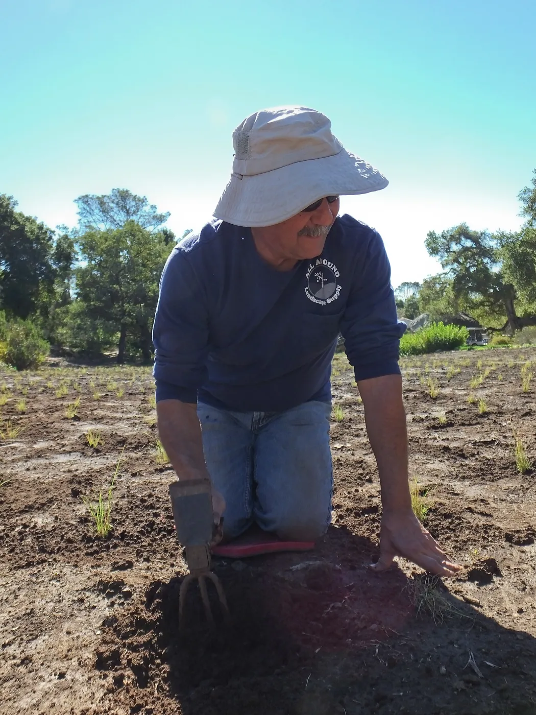 Meadow Revival Project, Blue Gramma Plug Planting, Volunteers from Hofmann Architecture
