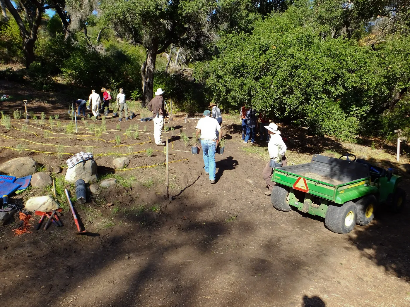 Centennial Maze Planting