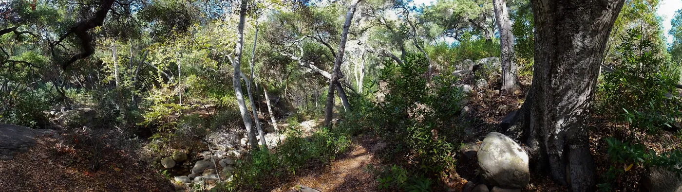 View from east wall of Mission Canyon on trail below Manzanita Section