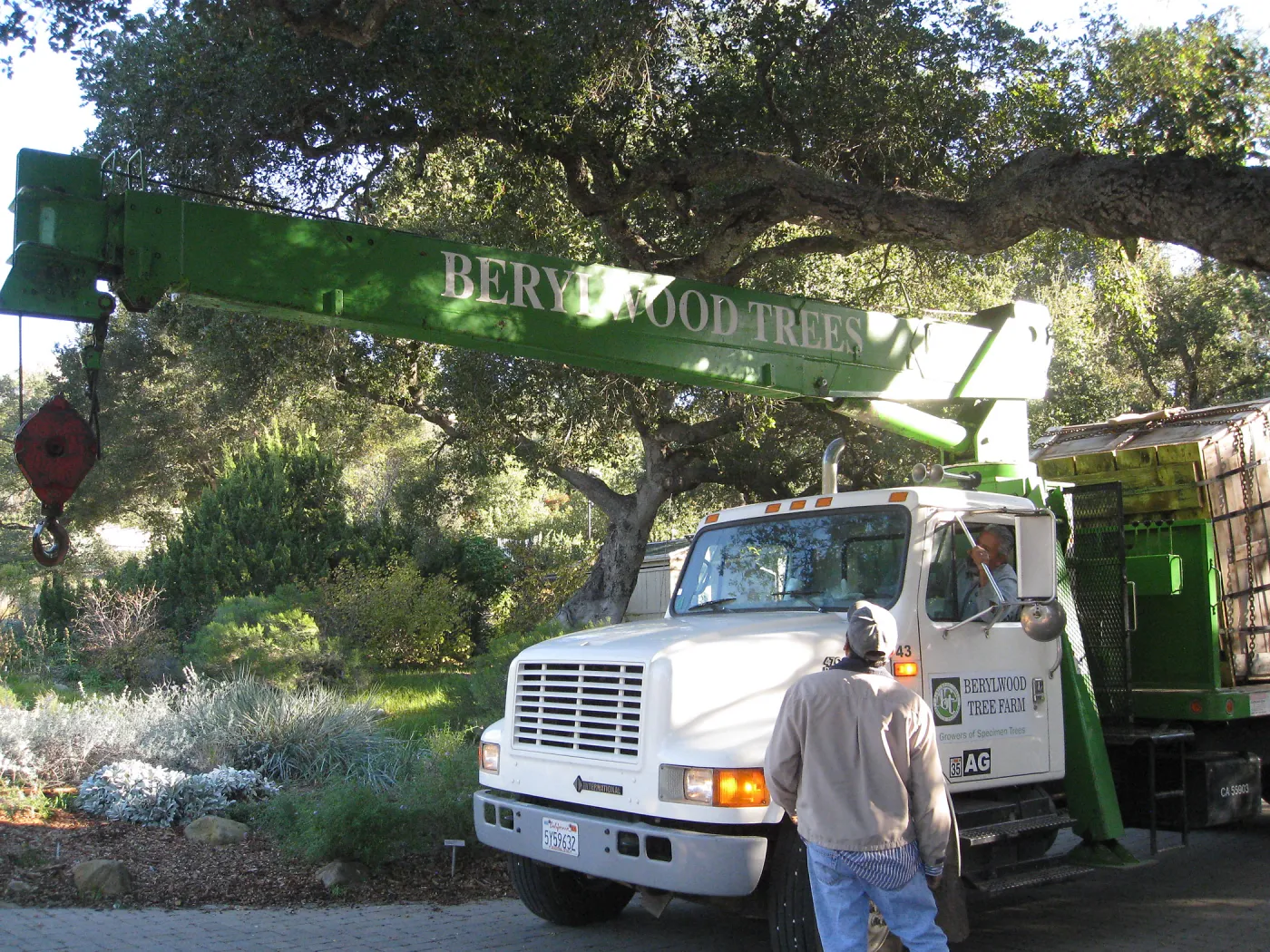 2012 Meadow Oaks Planting, Berylwood Tree Farms