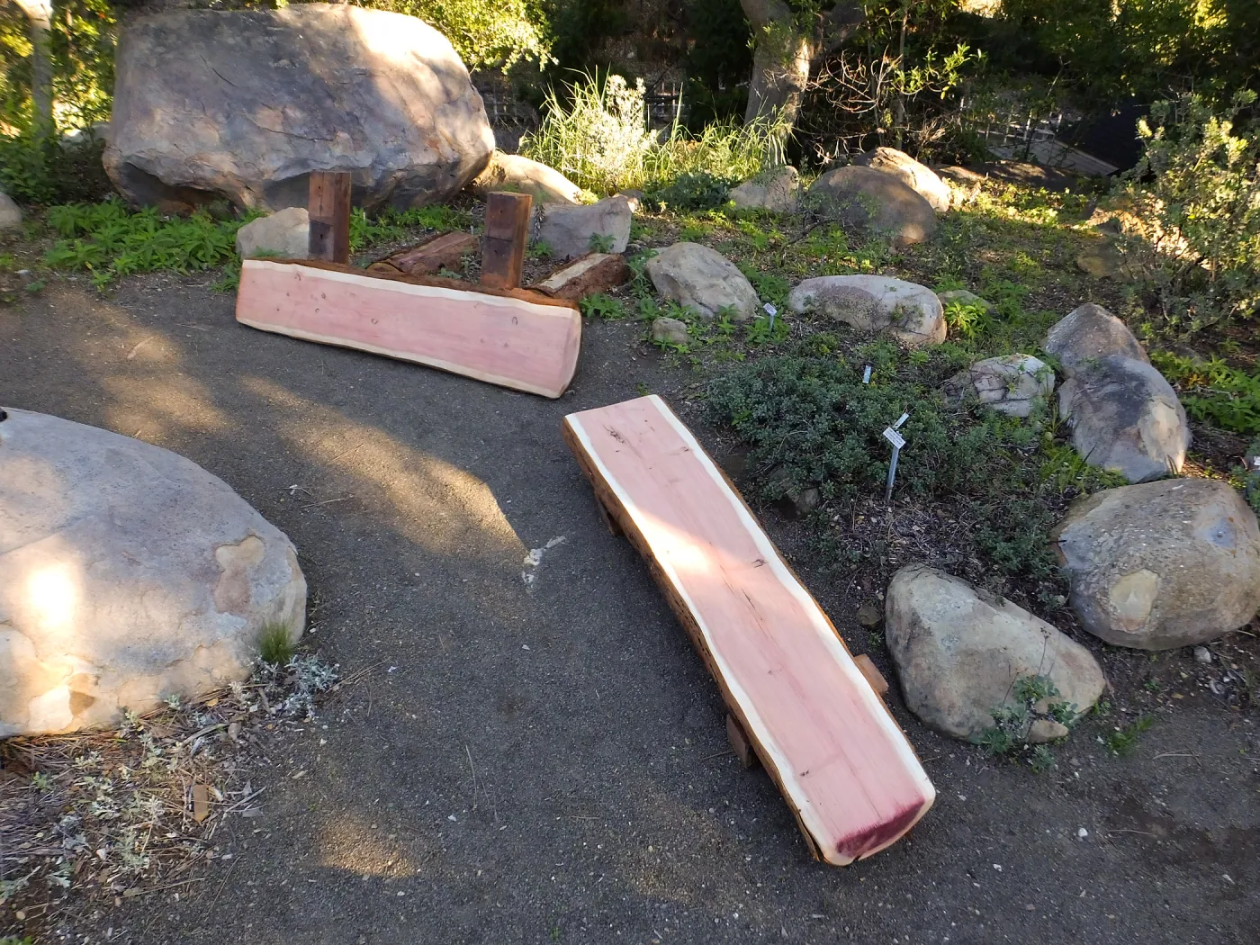 Installation of the Bobbie Jones bench, made from the giant sequoia removed from the Arroyo Section
