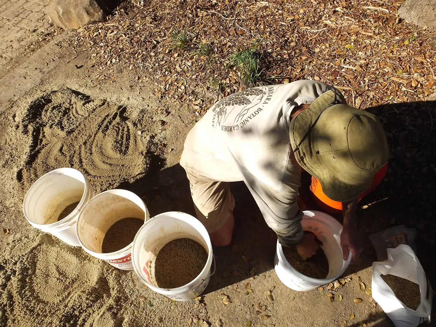 Meadow Restoration Project, Year 2, Wildflower Seed Sowing, Mixing Sand with Seed