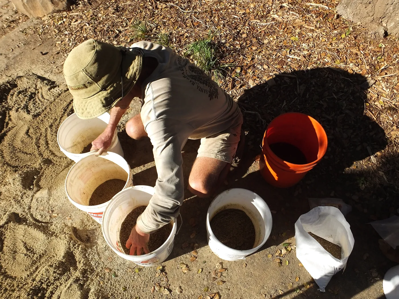 Meadow Restoration Project, Year 2, Wildflower Seed Sowing, Mixing Sand with Seed