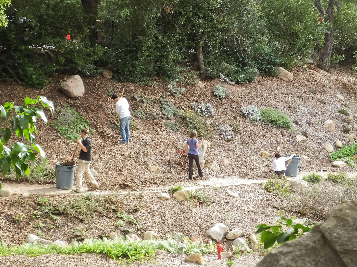Volunteers from Cate School working in the Arroyo Section