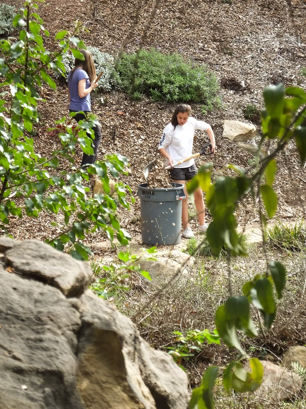 Volunteers from Cate School working in the Arroyo Section