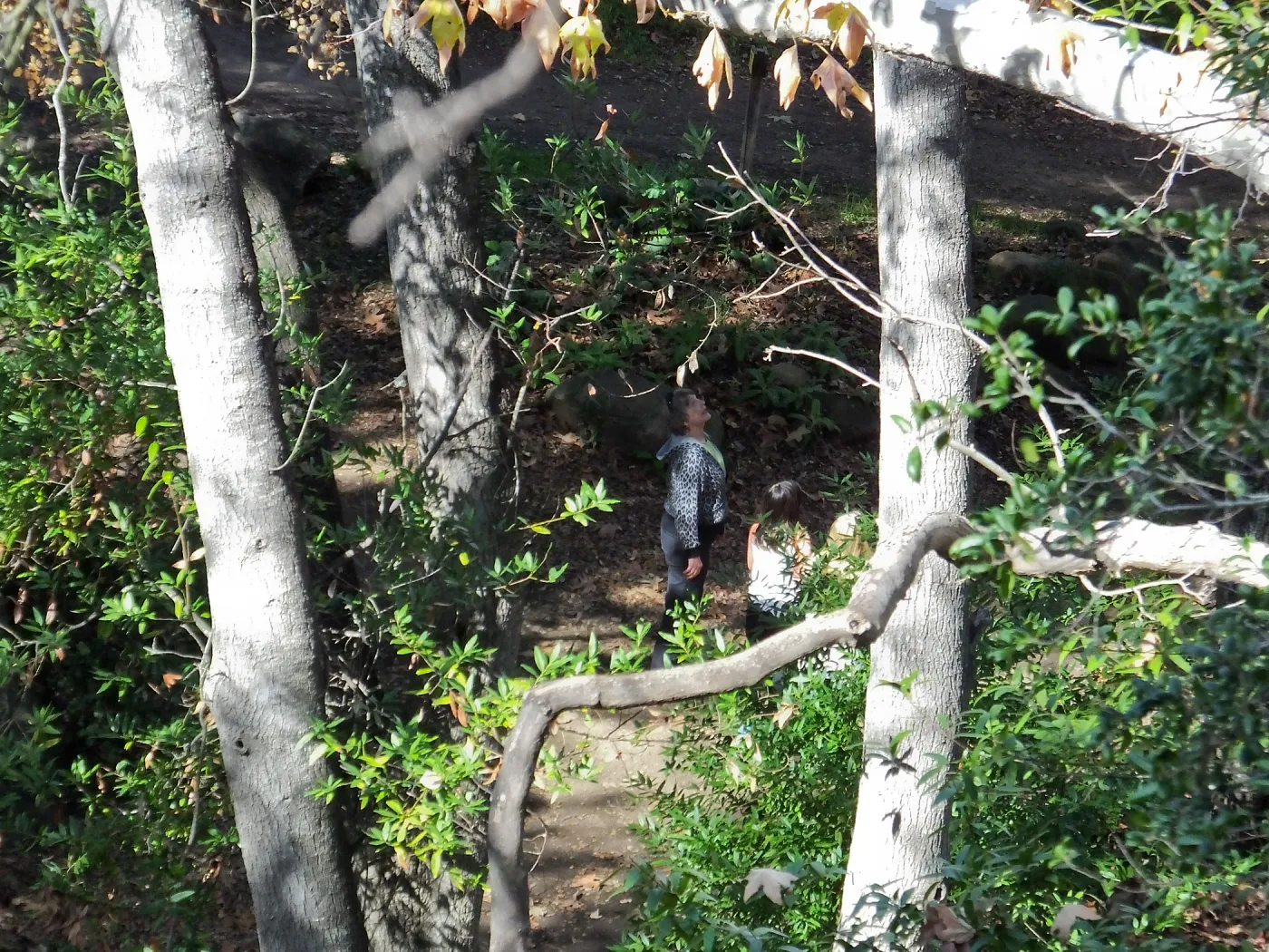 Docent leading Habitat Hike for students from Ballard School