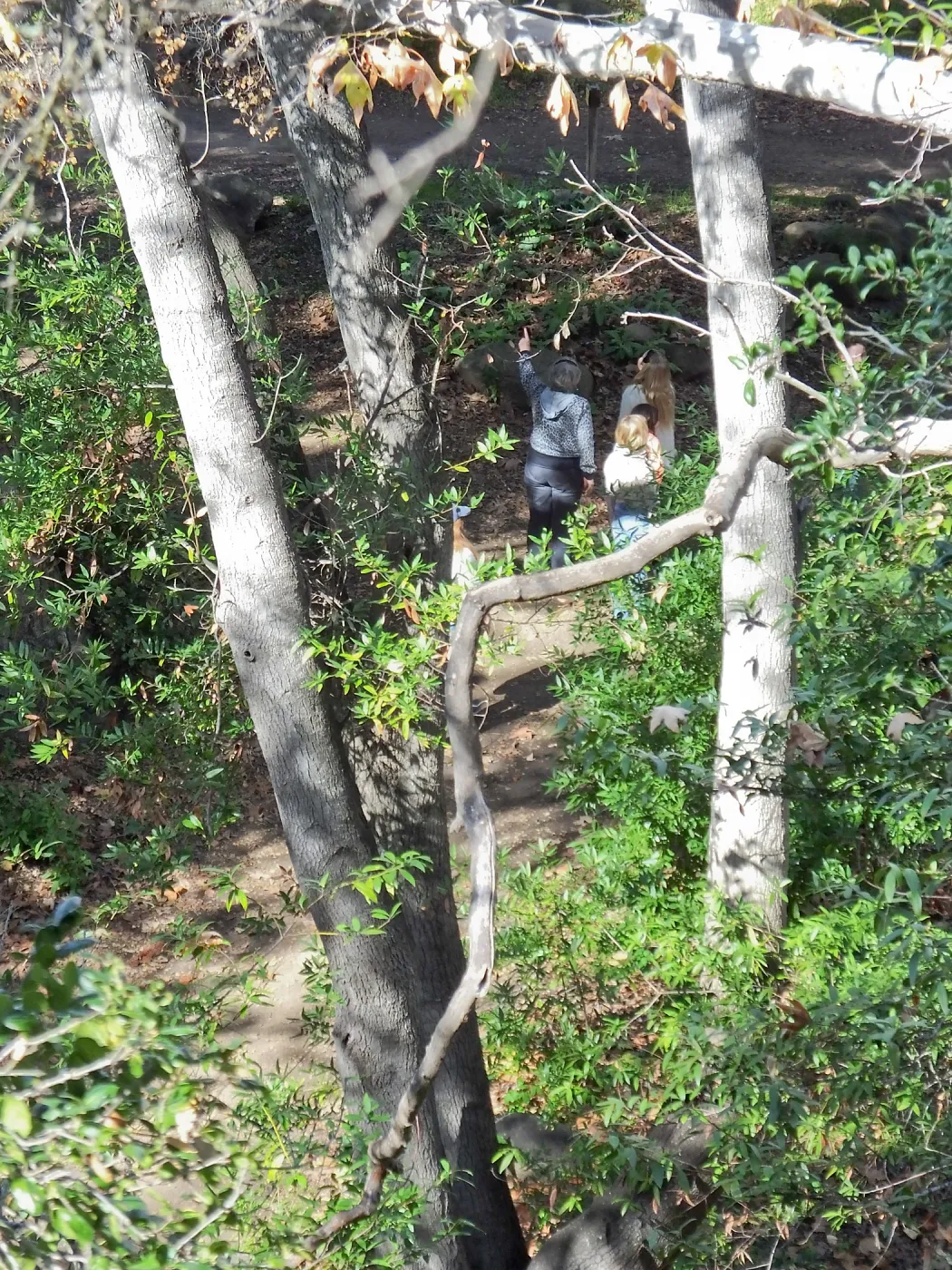 Docent leading Habitat Hike for students from Ballard School