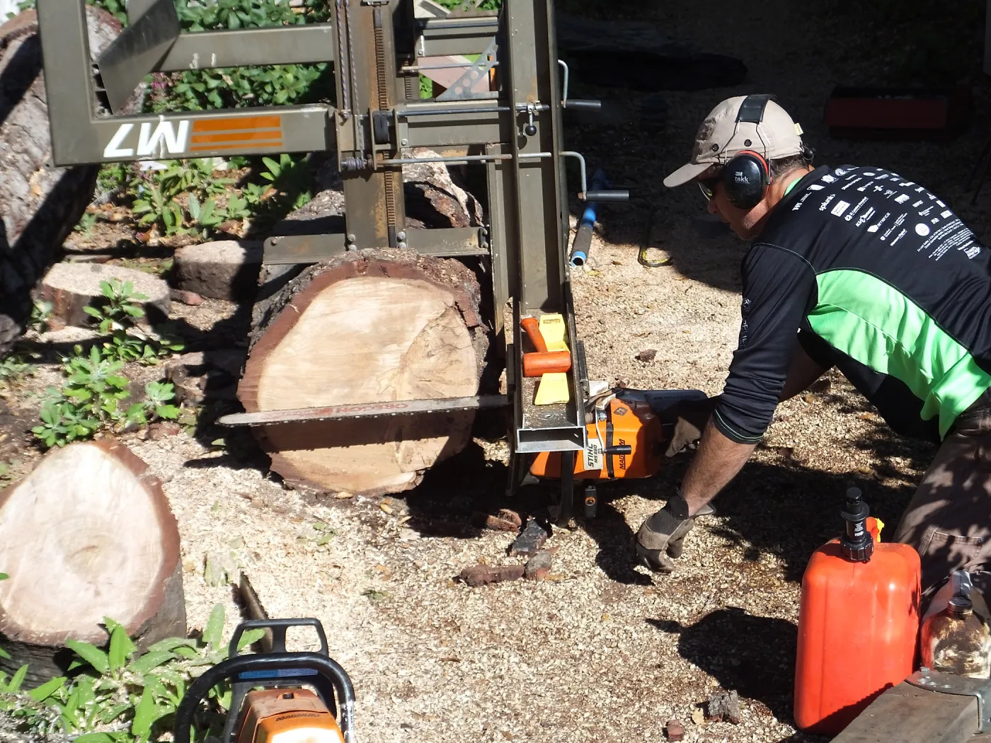 Trunk of former Cottage Oak (Coastal Live Oak) being milled into slabs by Ed Smith of Local Wood