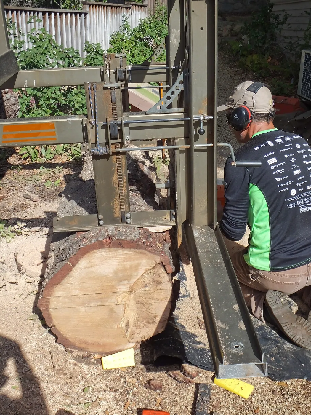 Trunk of former Cottage Oak (Coastal Live Oak) being milled into slabs by Ed Smith of Local Wood