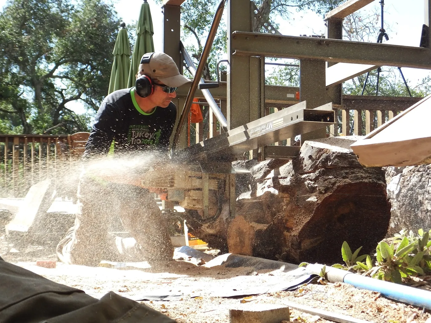 Trunk of former Cottage Oak (Coastal Live Oak) being milled into slabs by Ed Smith of Local Wood