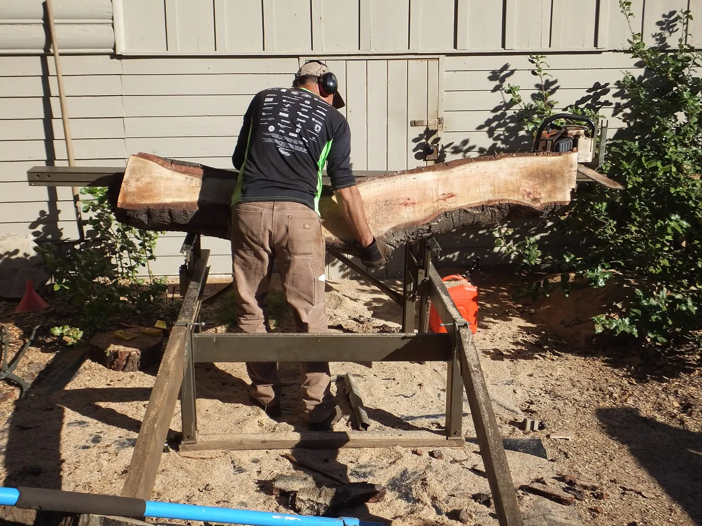 Trunk of former Cottage Oak (Coastal Live Oak) being milled into slabs by Ed Smith of Local Wood