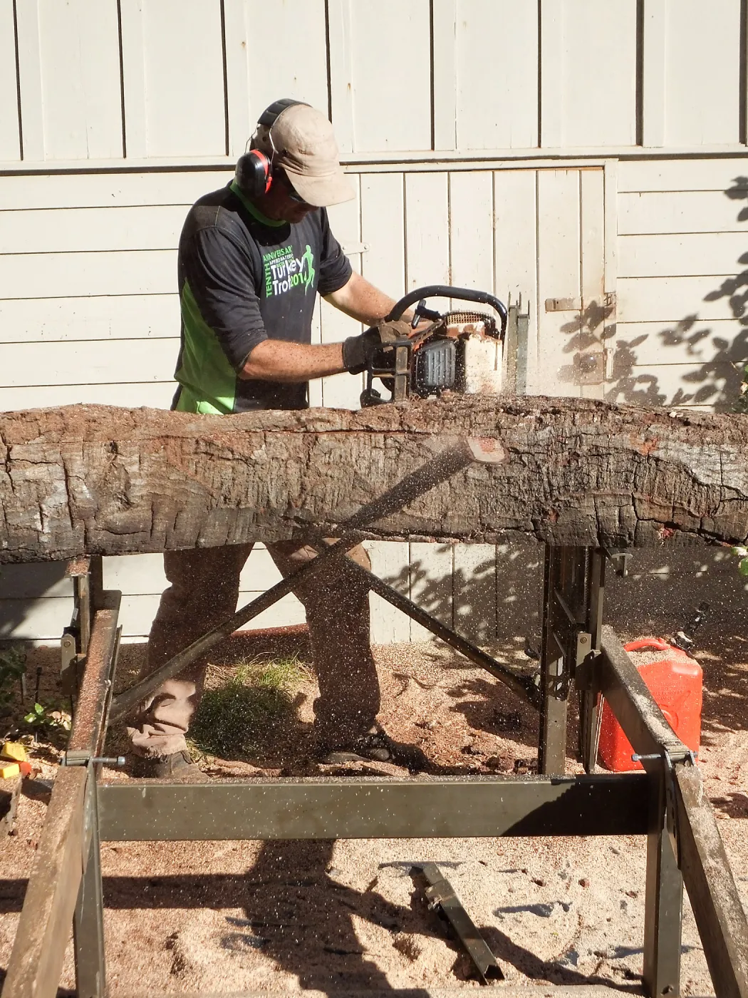 Trunk of former Cottage Oak (Coastal Live Oak) being milled into slabs by Ed Smith of Local Wood