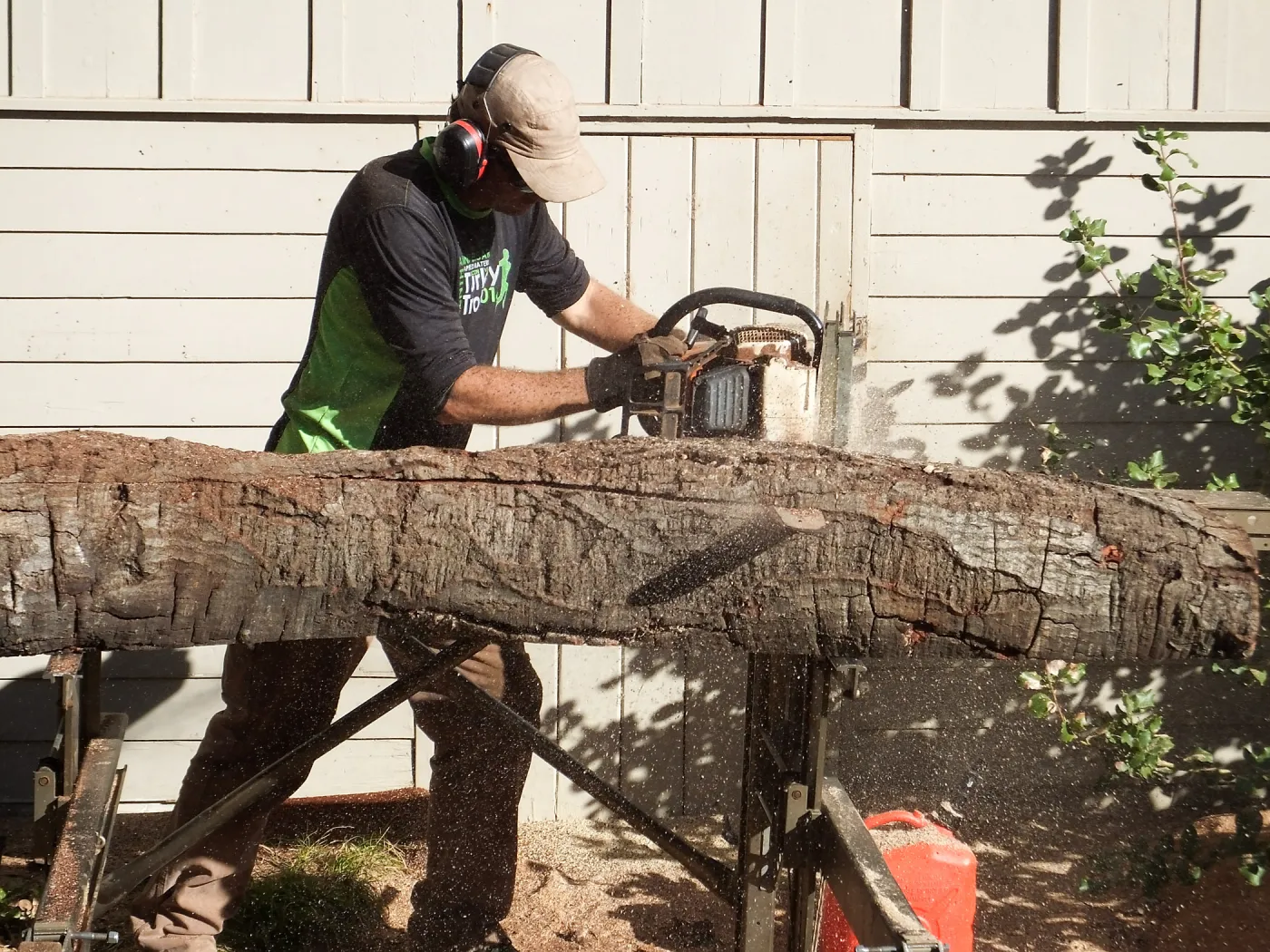 Trunk of former Cottage Oak (Coastal Live Oak) being milled into slabs by Ed Smith of Local Wood