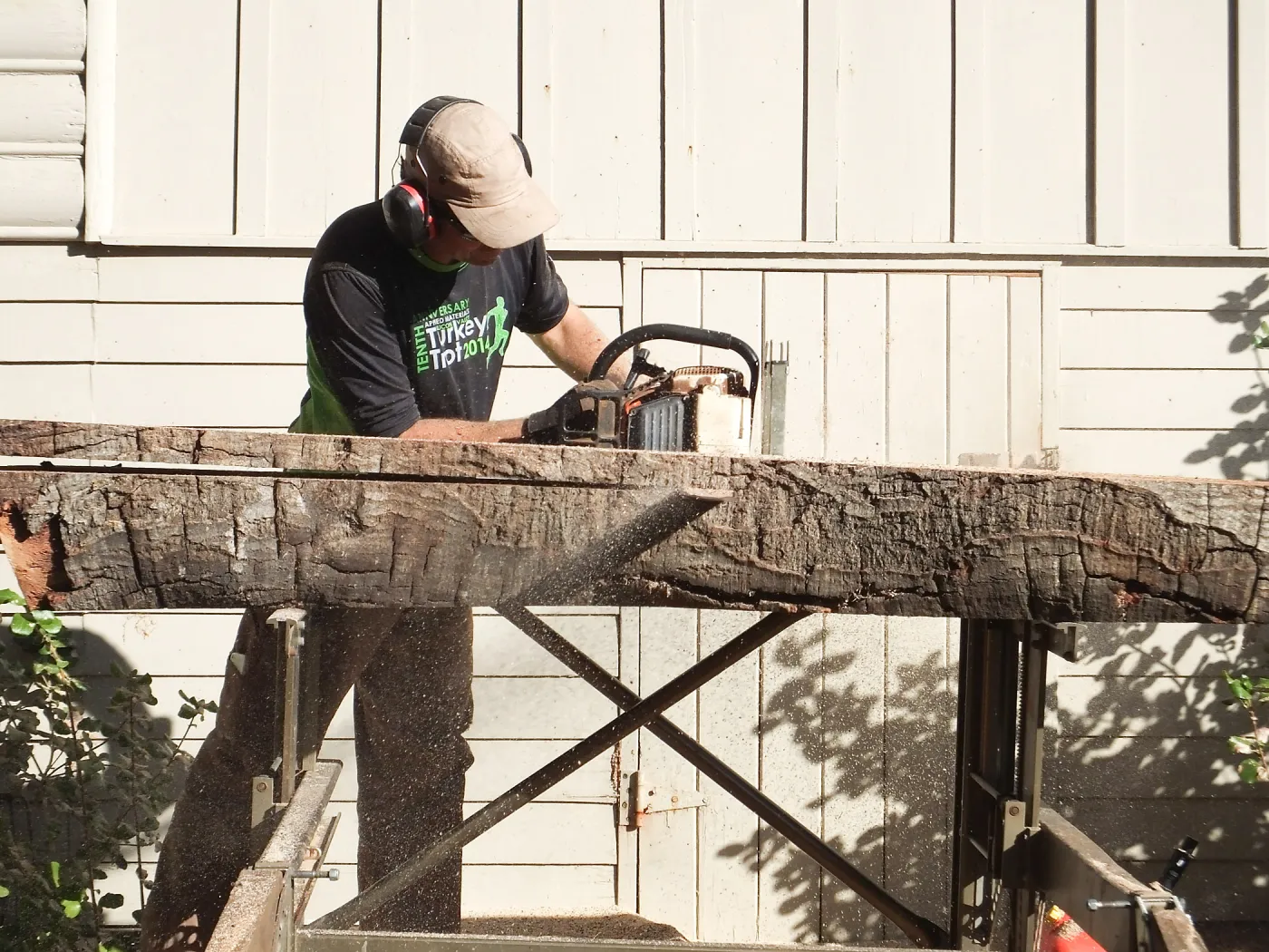Trunk of former Cottage Oak (Coastal Live Oak) being milled into slabs by Ed Smith of Local Wood