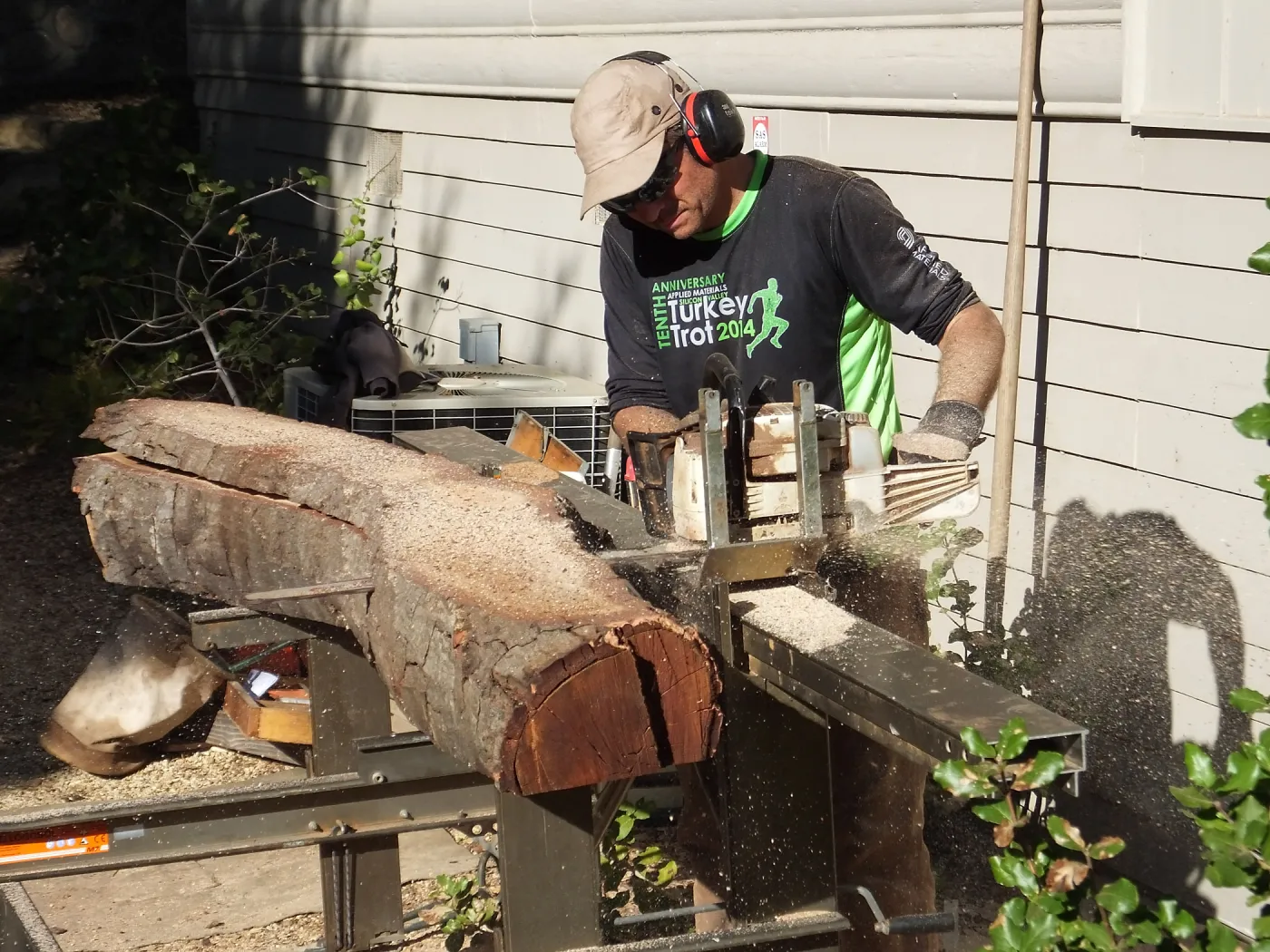 Trunk of former Cottage Oak being milled into slabs by Ed Smith of Local Wood