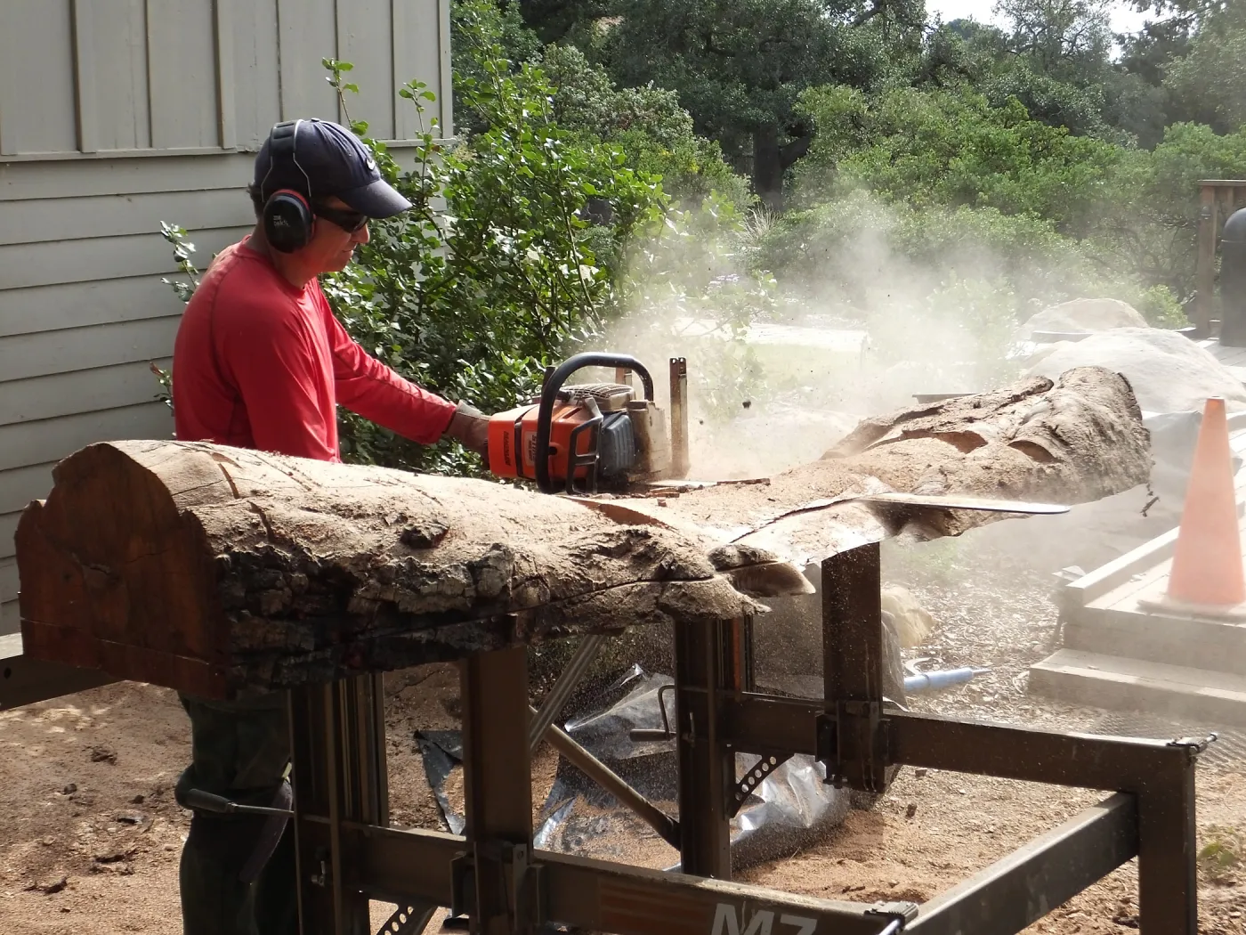 Trunk of former Cottage Oak (Coastal Live Oak) being milled into slabs by Ed Smith of Local Wood
