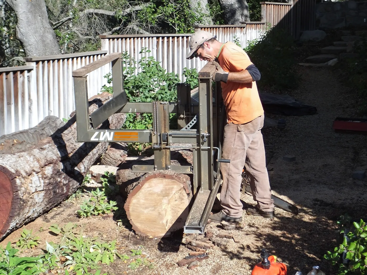 Trunk of former Cottage Oak being milled into slabs by Ed Smith of Local Wood