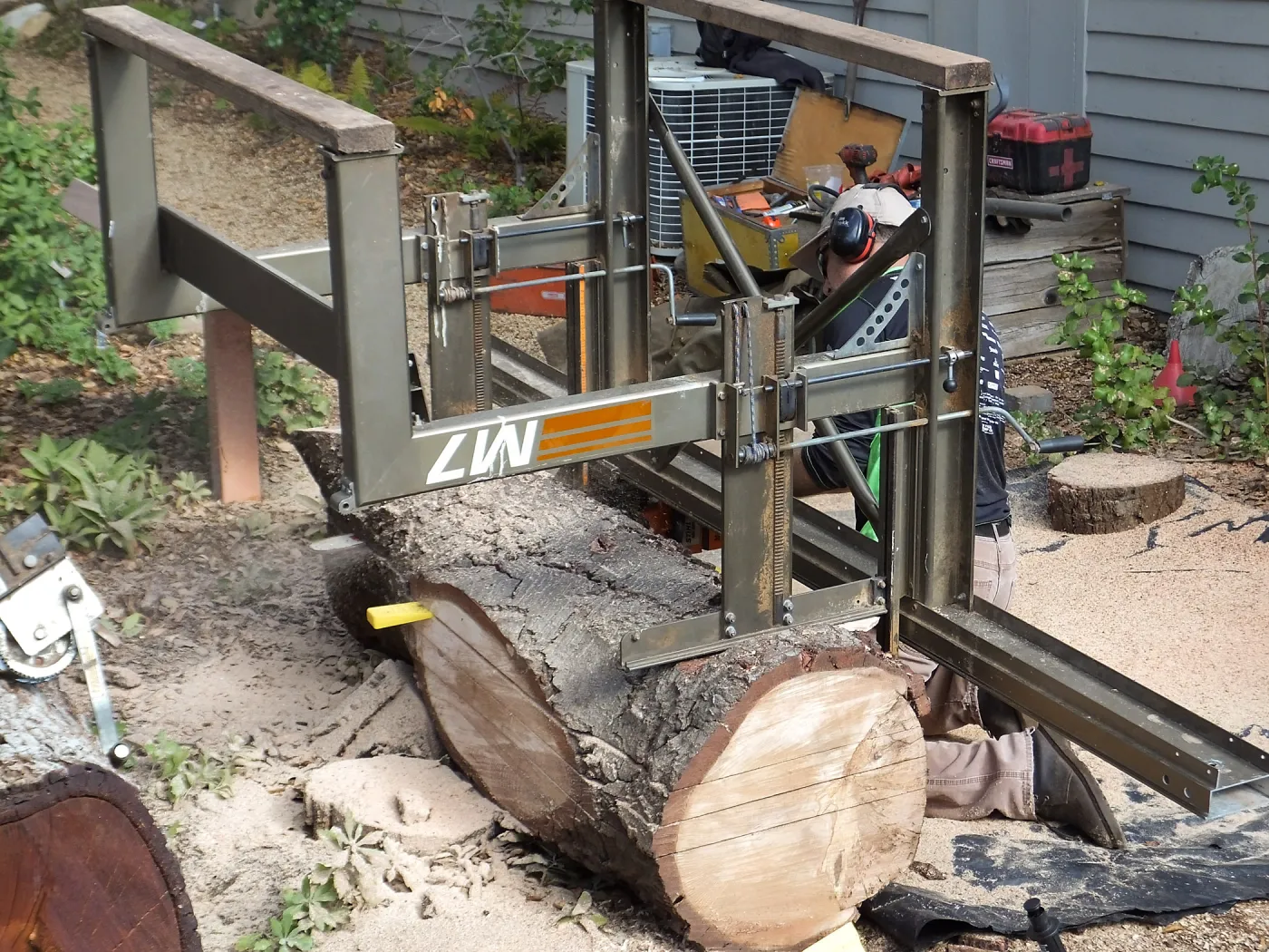 Trunk of former Cottage Oak being milled into slabs