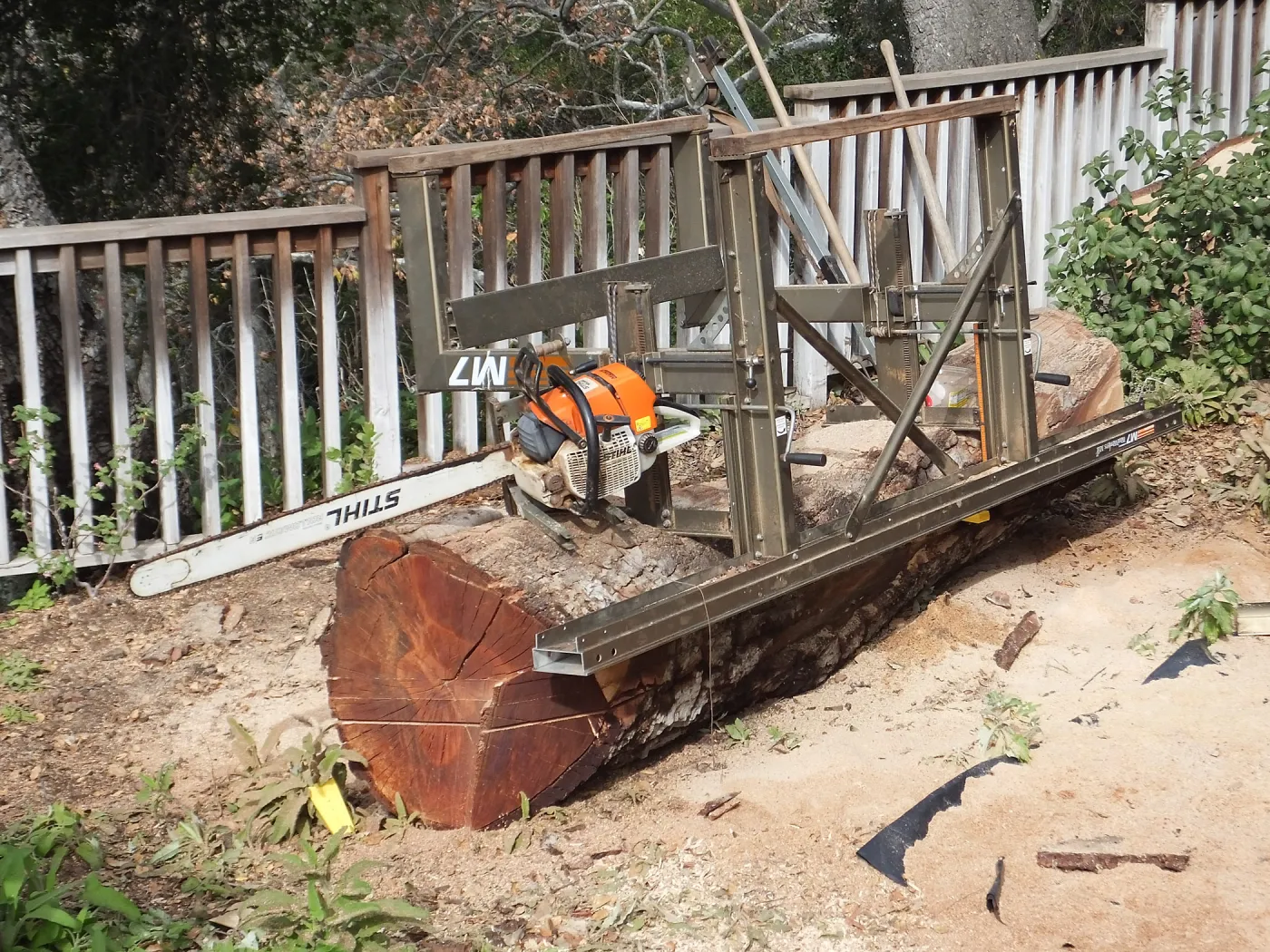 Trunk of former Cottage Oak being milled into slabs