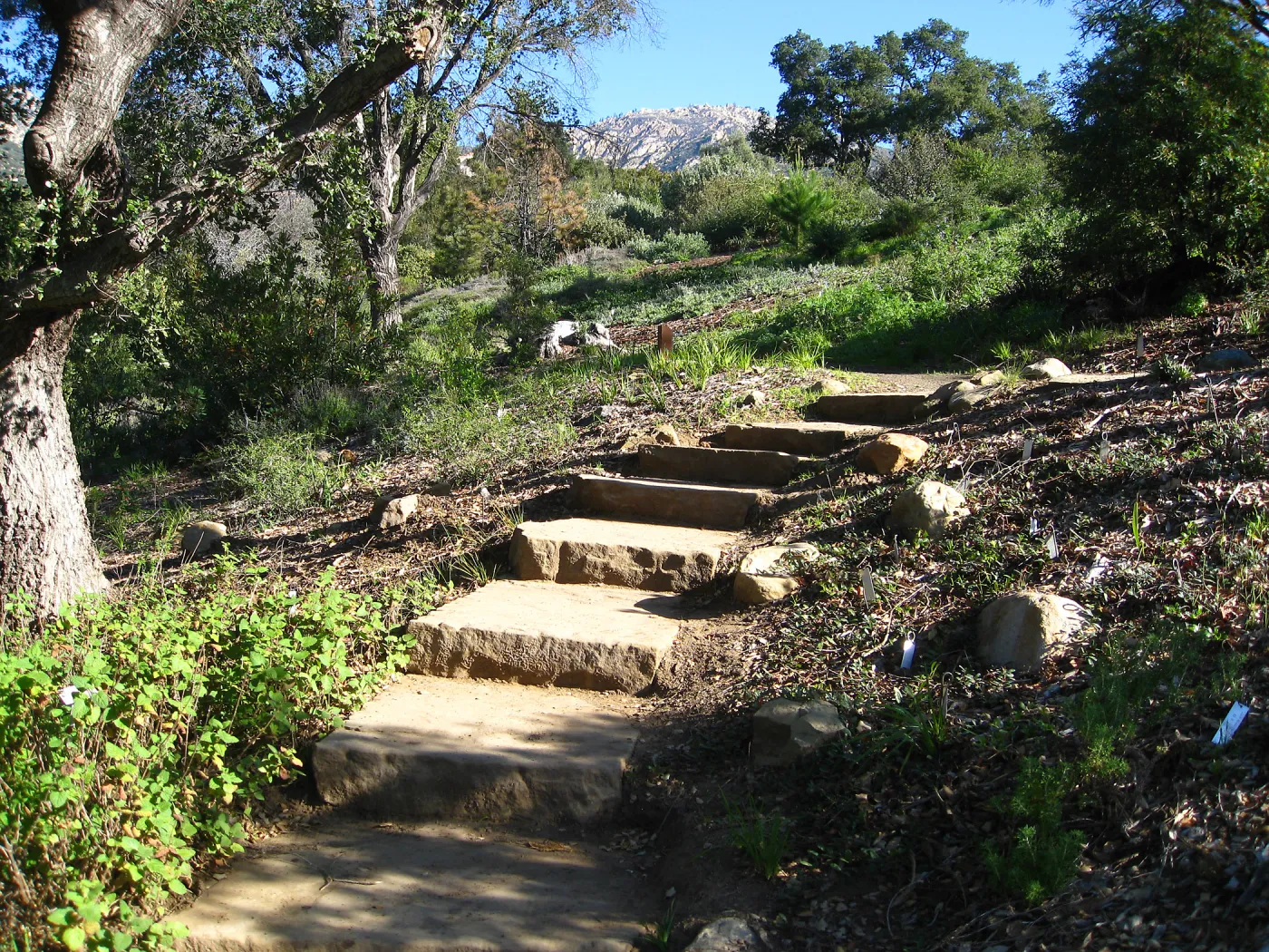 Steps to Porter Trail