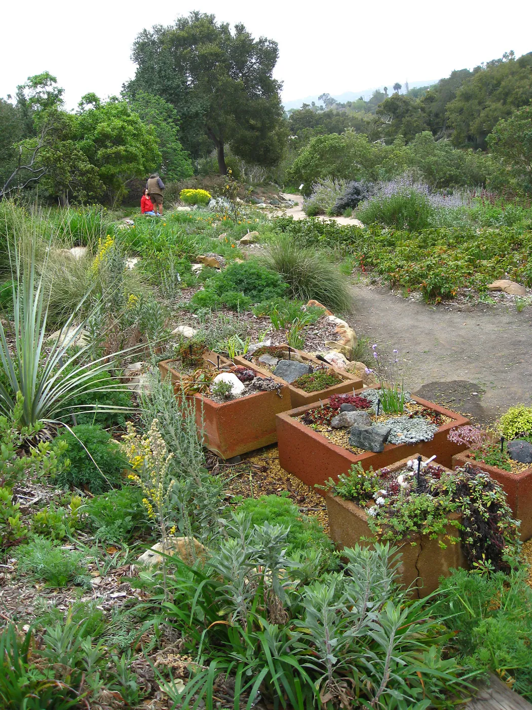 Trough planters, at steps to the Mosaic Bench, Meadow View