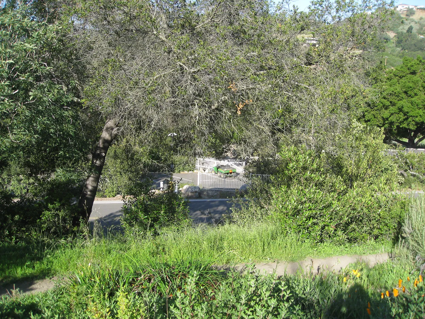 Looking over Mission Canyon Rd to the parking lot, from the Porter Trail