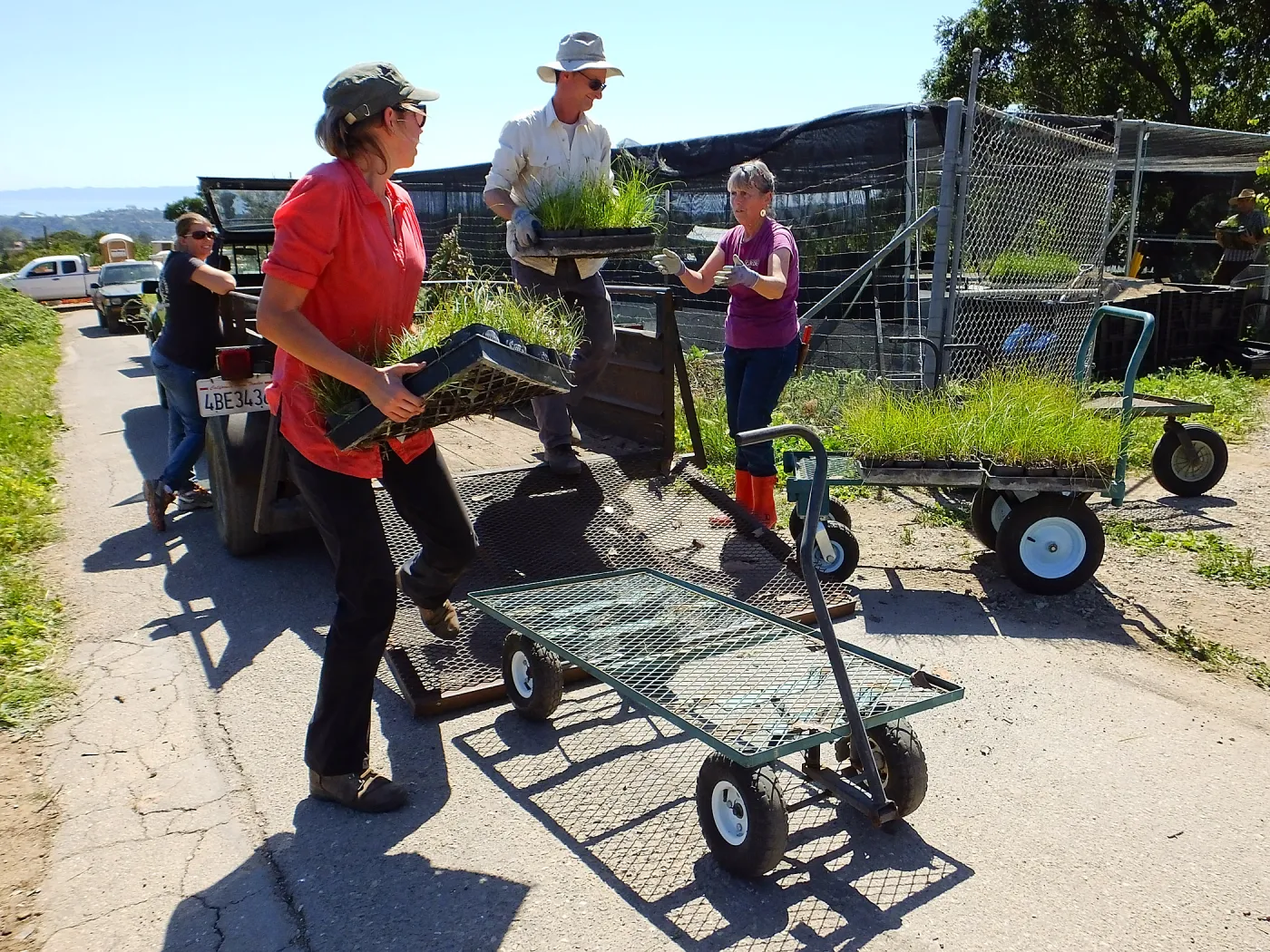 Spring Plant Sale 2015 plant delivery from Santa Barbara Natives