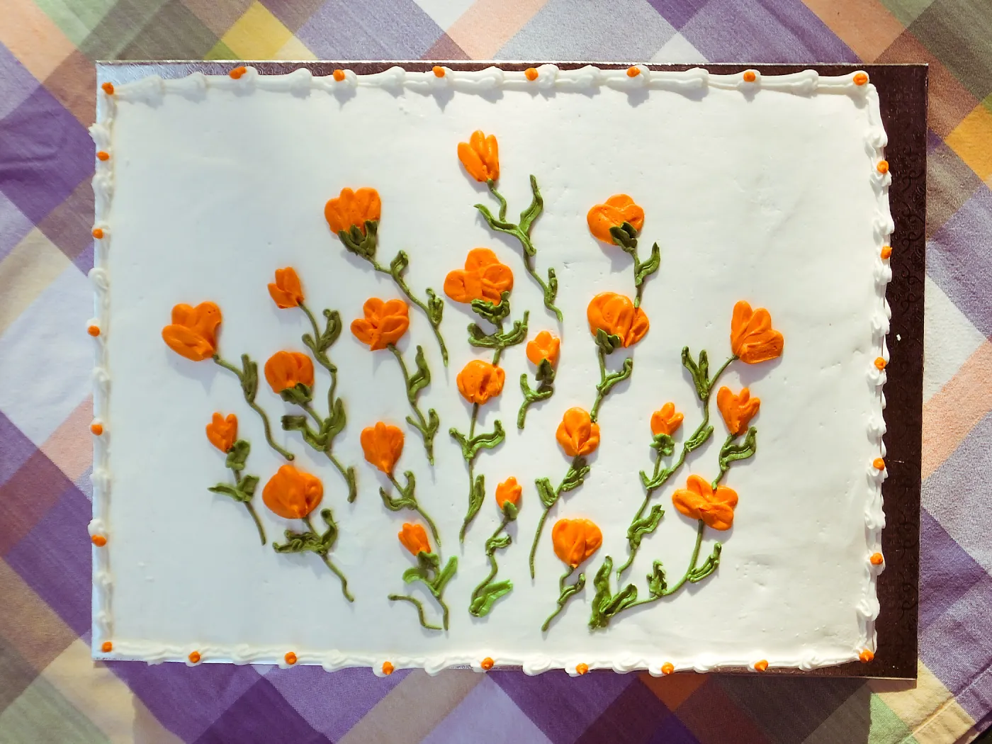 Members Picnic 2015 Cake