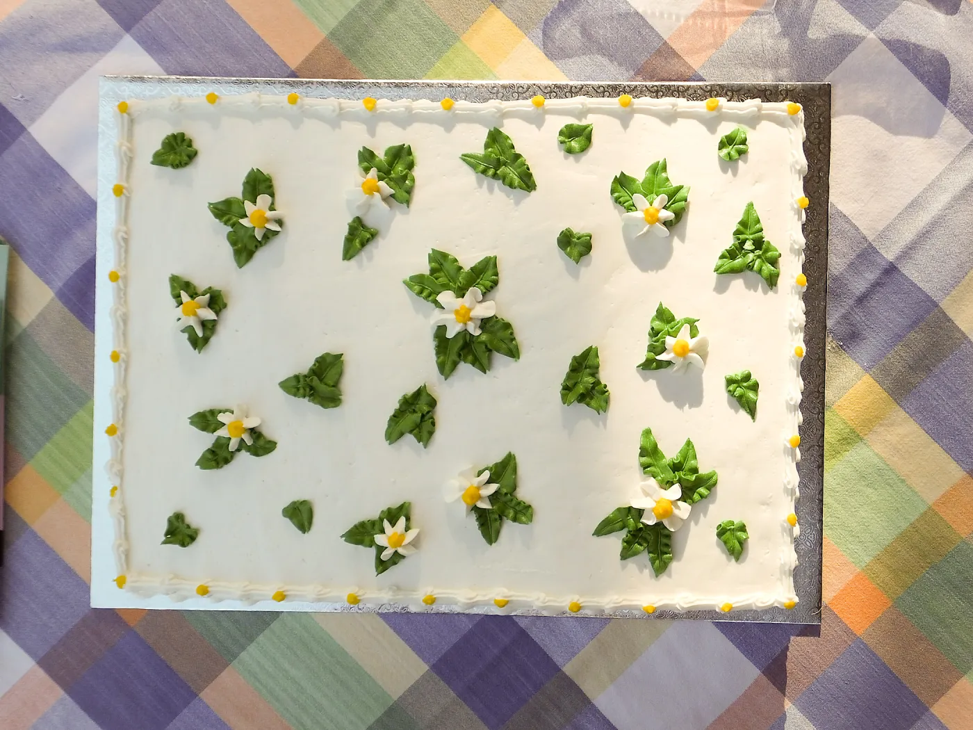 Members Picnic 2015 Cake