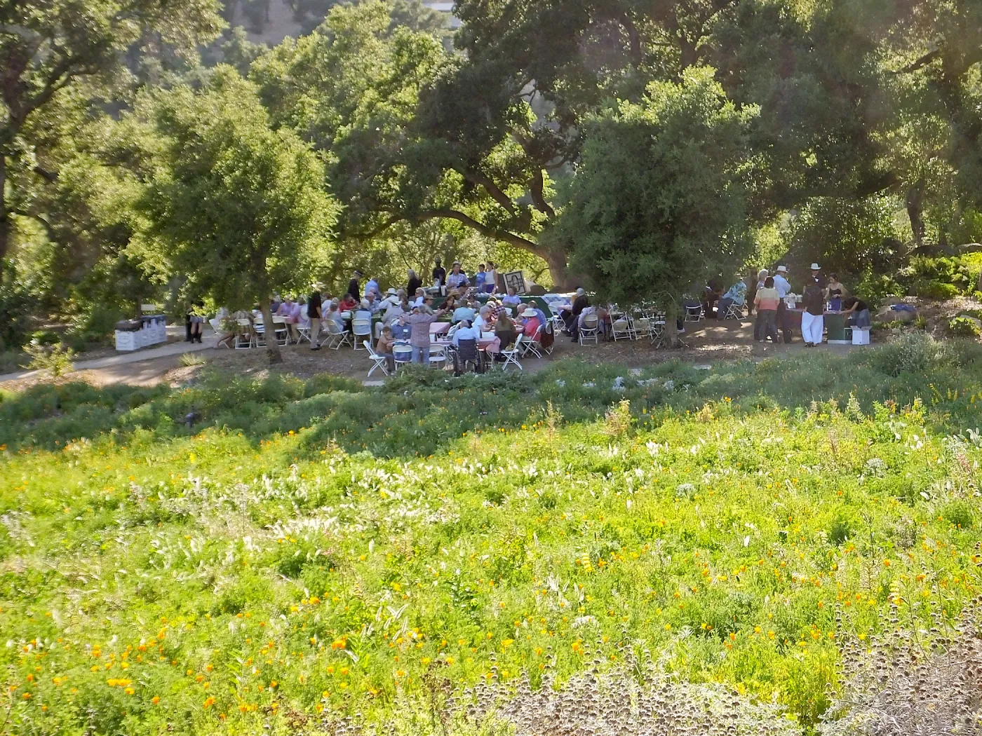 Members Picnic 2015