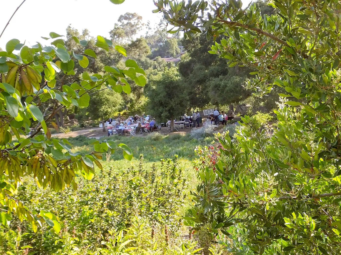 Members Picnic 2015
