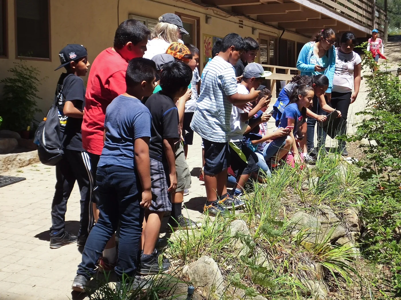 CCBER Kids in Nature Program students observing king snake