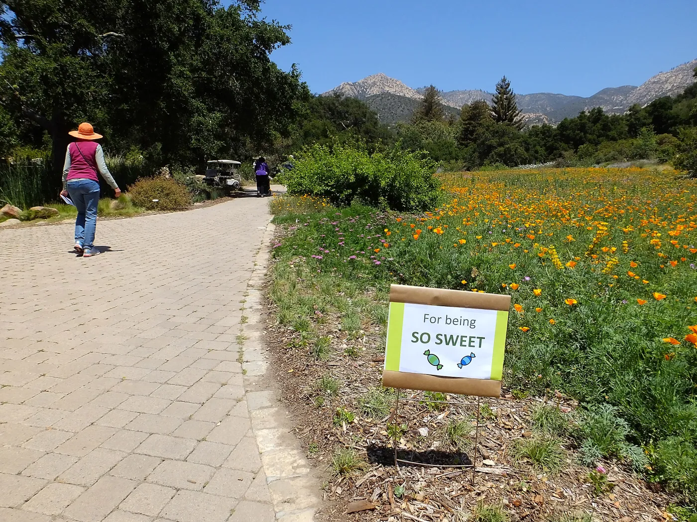 Volunteer Luncheon 2015 Welcome Signs