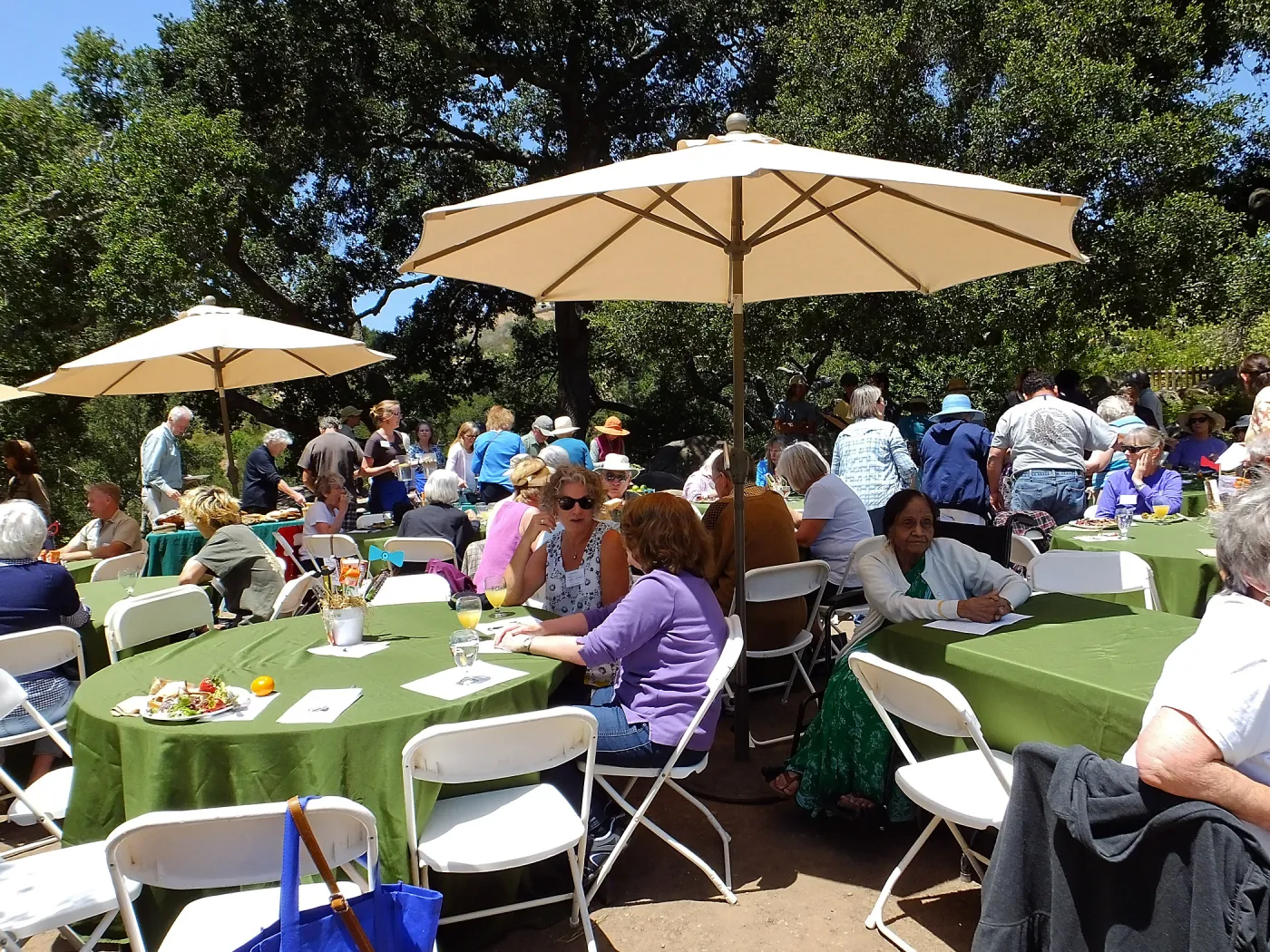 Volunteer Luncheon 2015