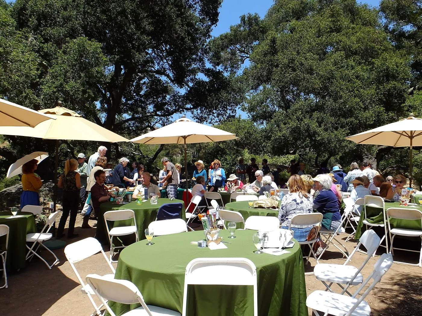 Volunteer Luncheon 2015